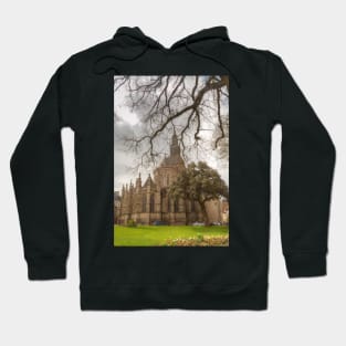 Basilica of Saint-Sauveur, Dinan Hoodie